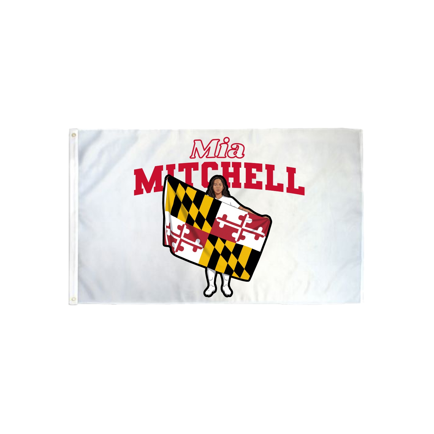3x5 Flag — Name Arch in Classic
