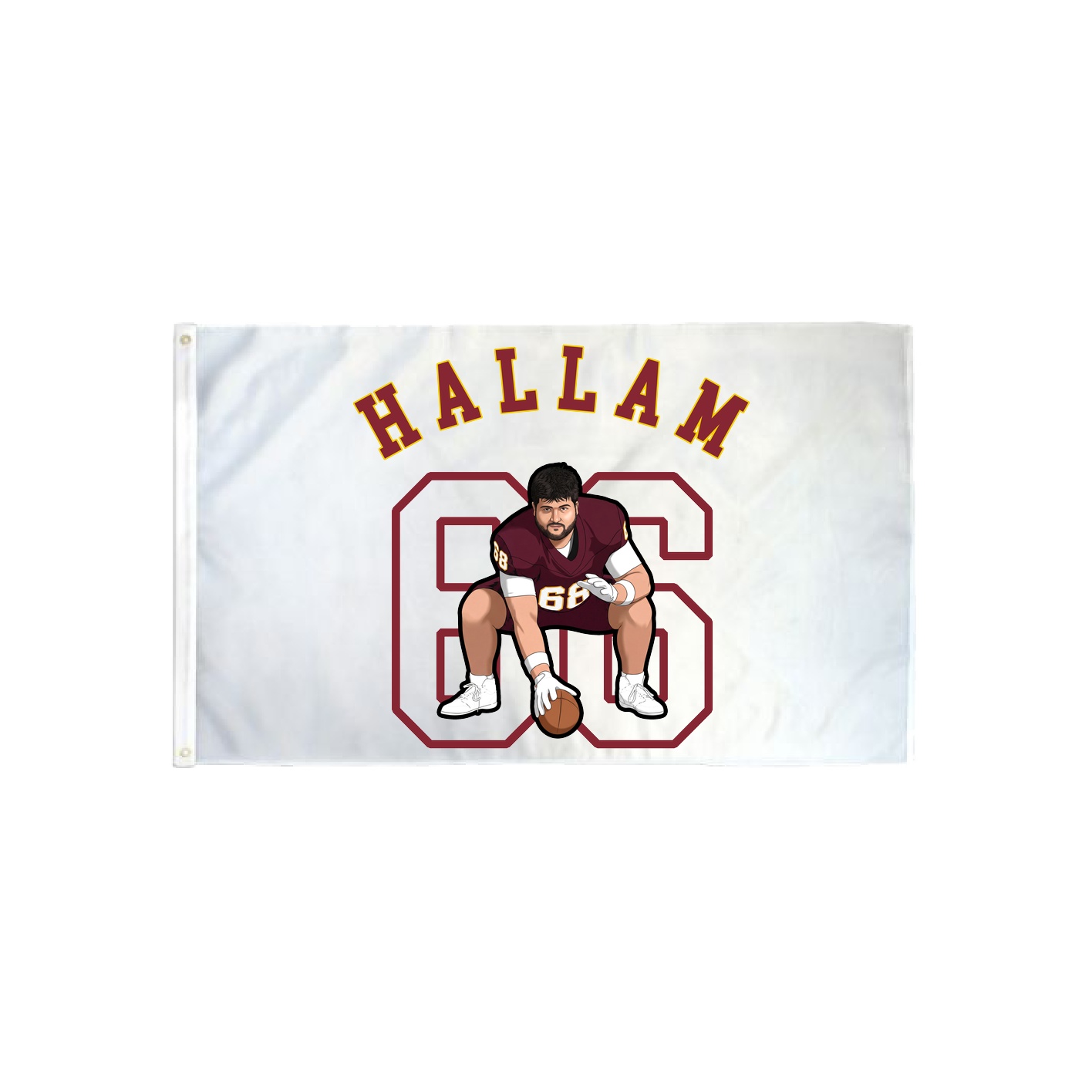 3x5 Flag — Shirsey Arch in Classic