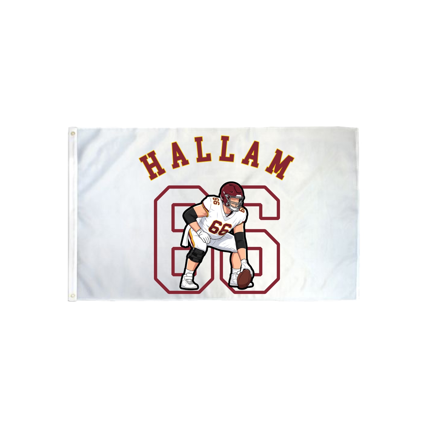 3x5 Flag — Shirsey Arch in Classic