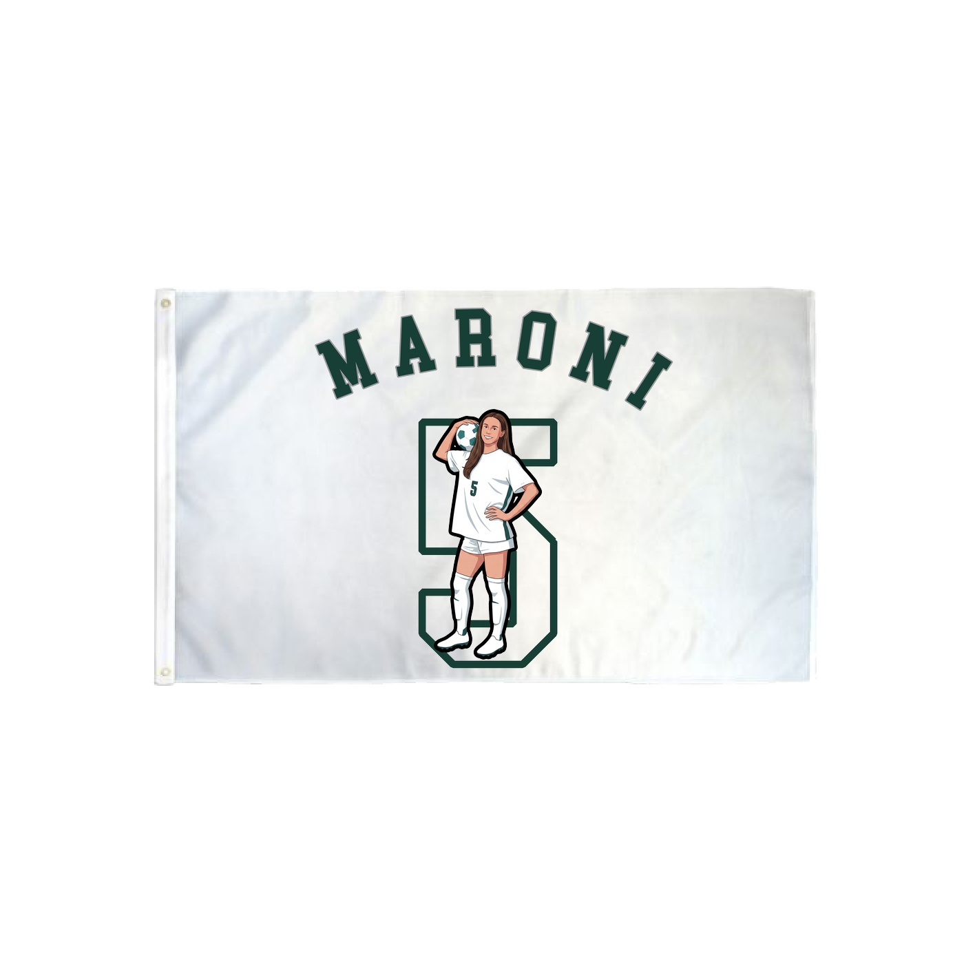 3x5 Flag — Shirsey Arch in Classic