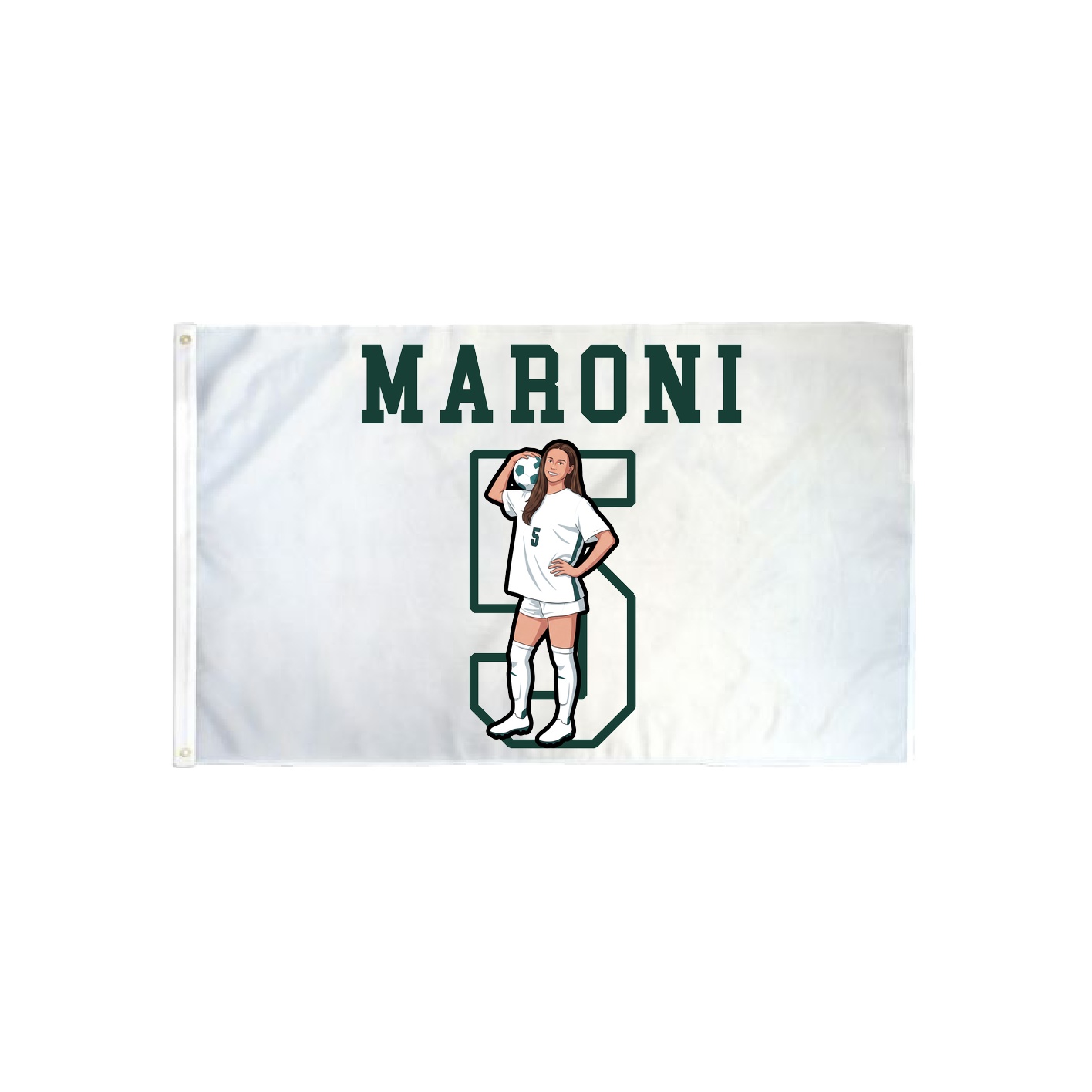 3x5 Flag — Shirsey in Classic