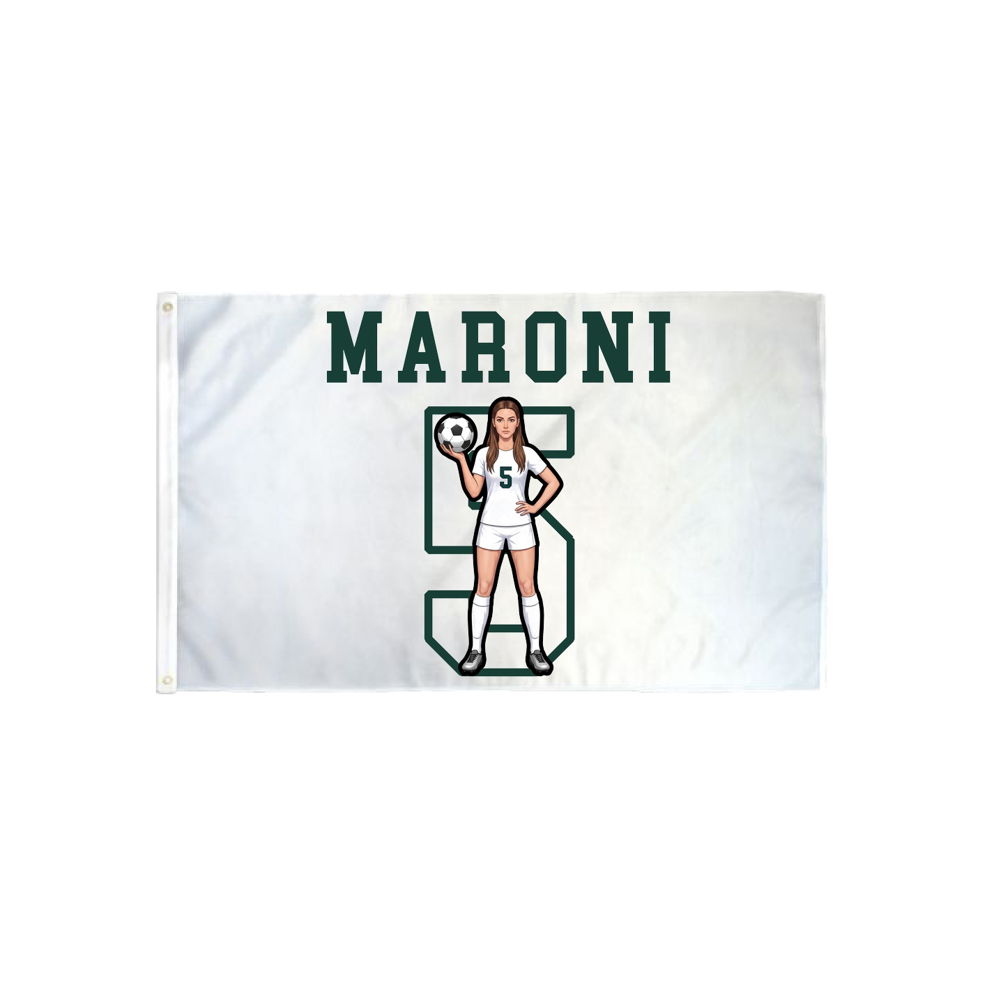 3x5 Flag — Shirsey in Classic