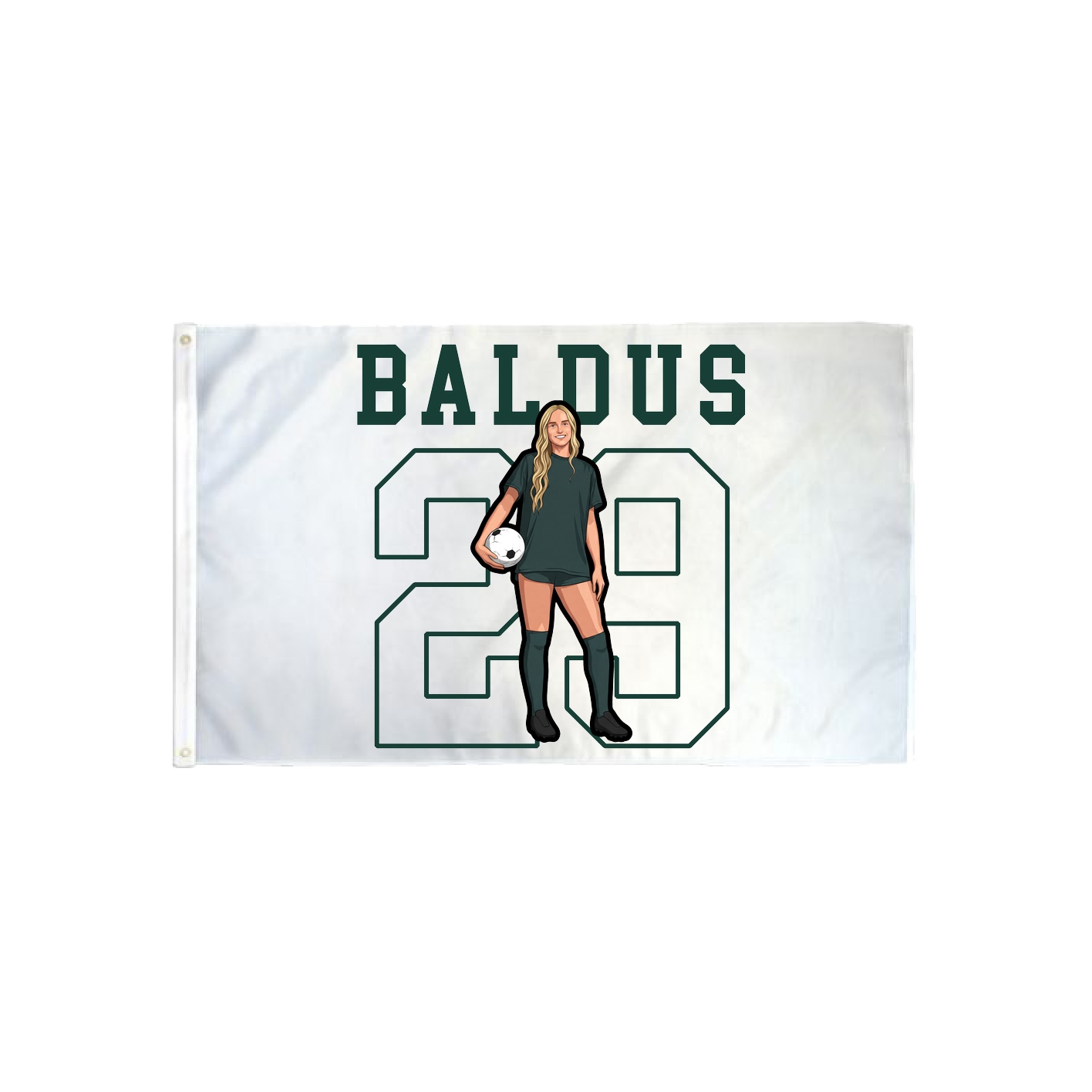 3x5 Flag — Shirsey in Classic