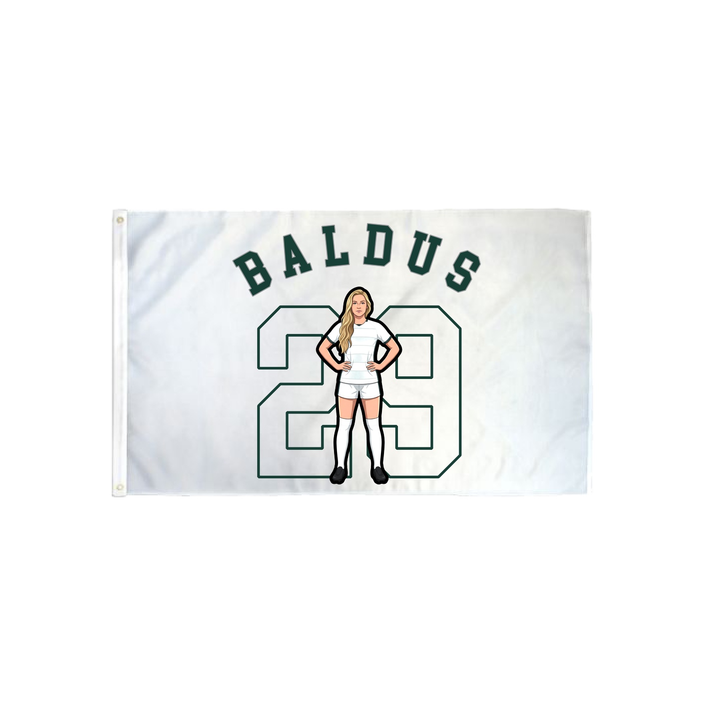 3x5 Flag — Shirsey Arch in Classic