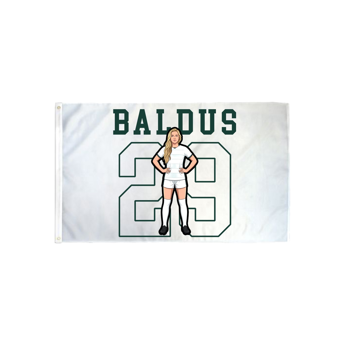 3x5 Flag — Shirsey in Classic