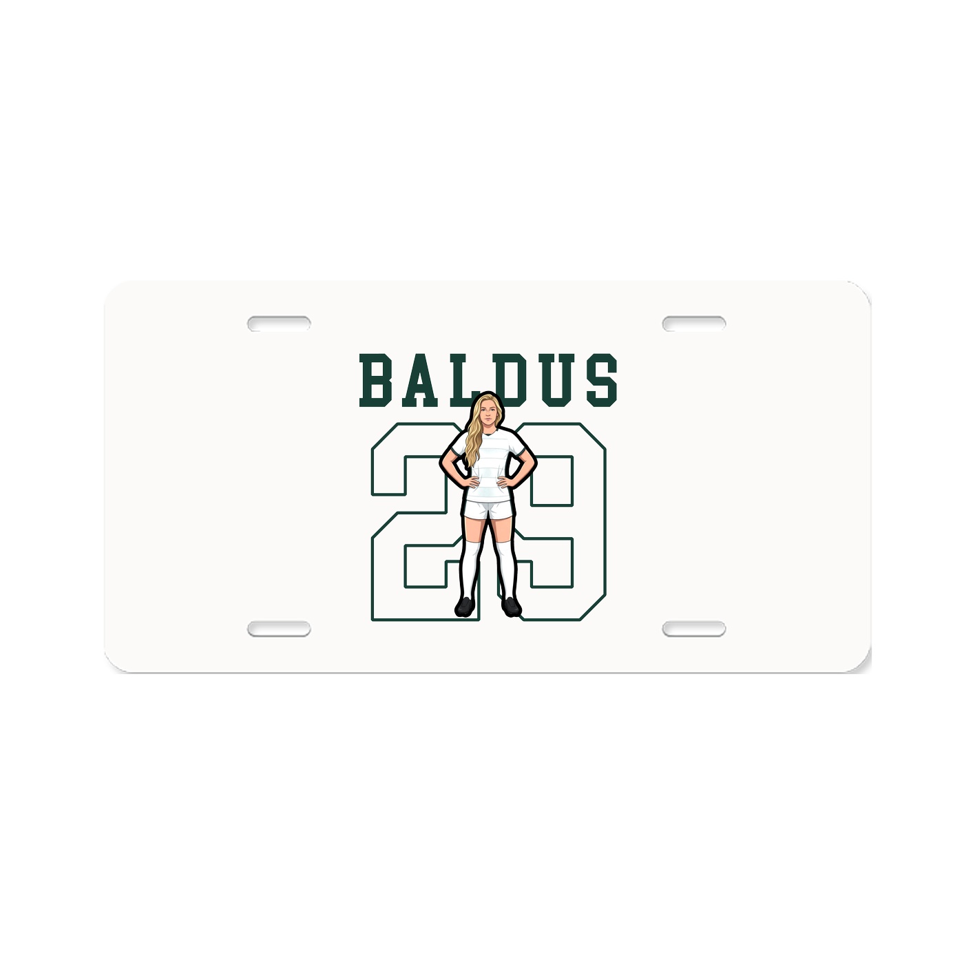 License Plate