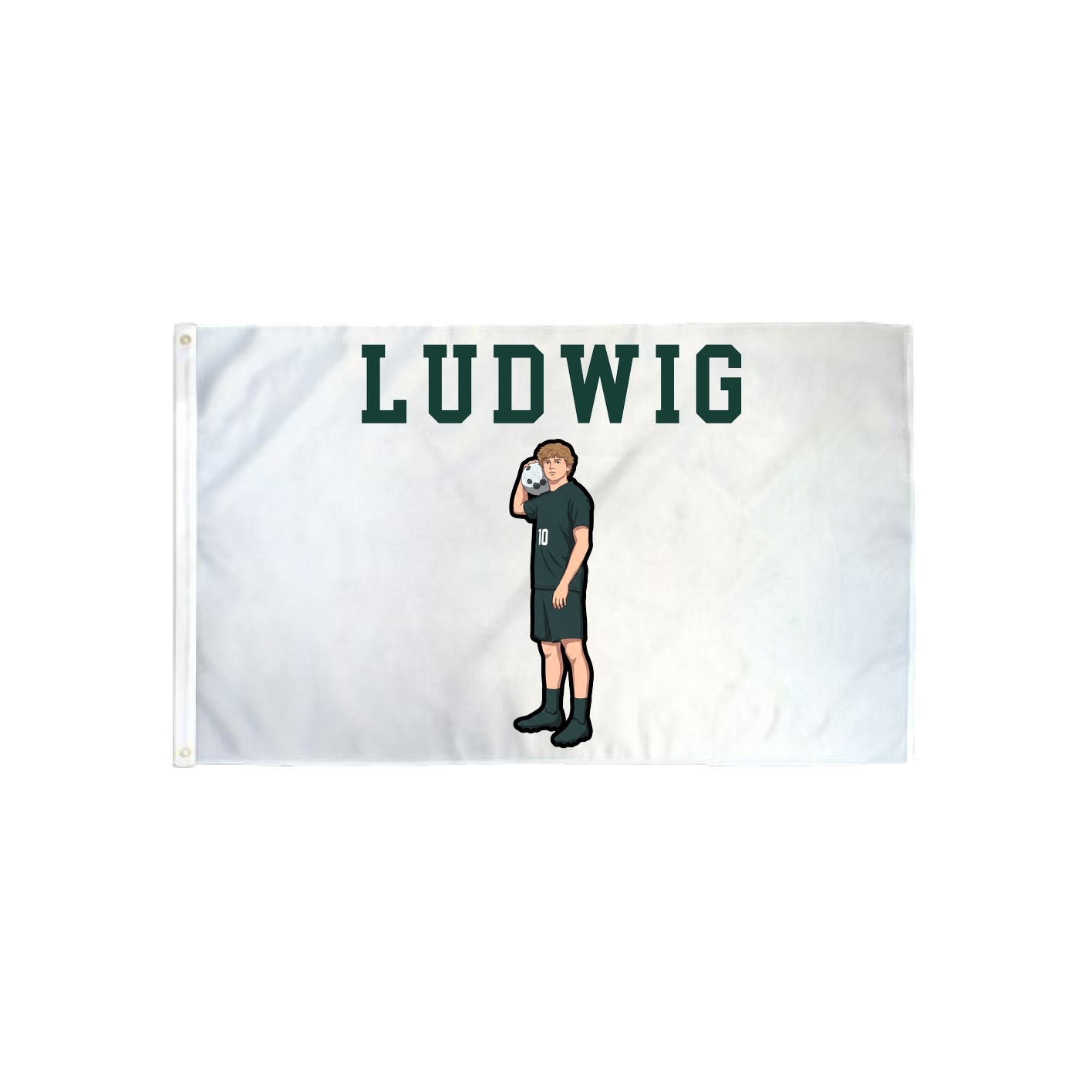 3x5 Flag — Shirsey in Classic