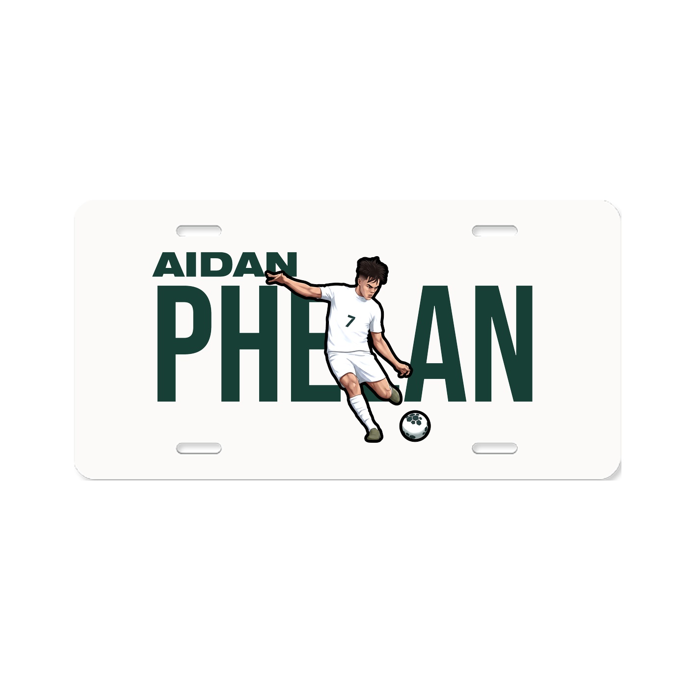 License Plate