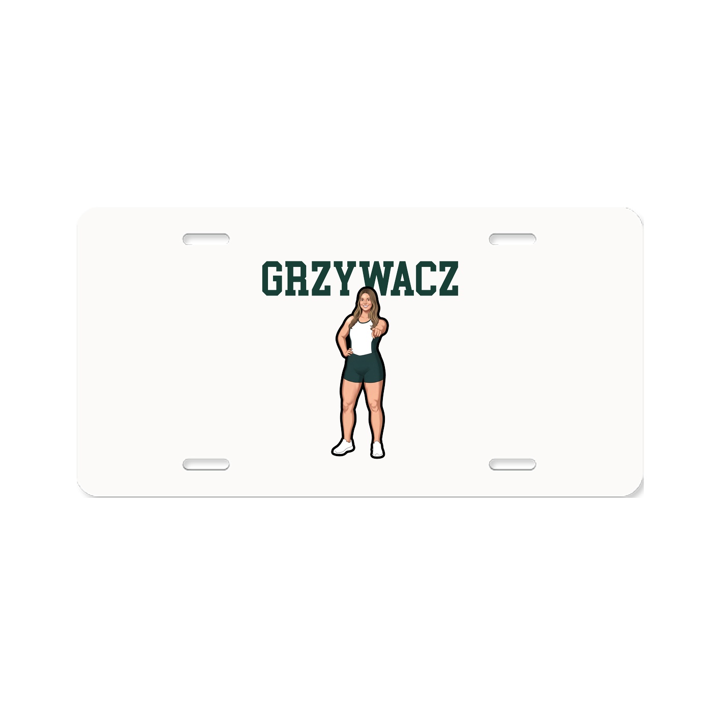 Aluminum License Plate