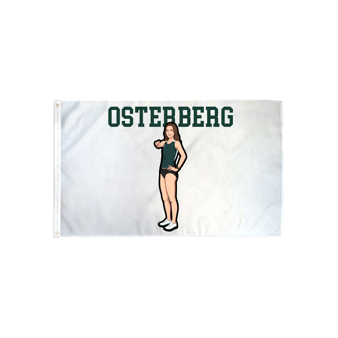 3x5 Flag — Shirsey in Classic