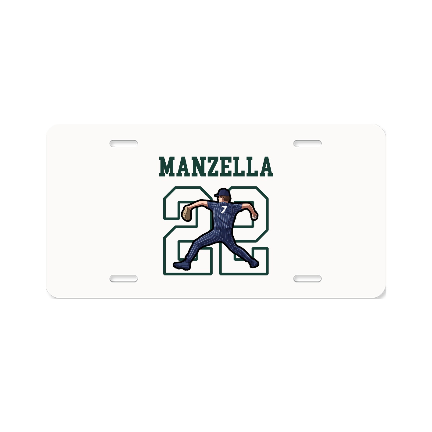 License Plate