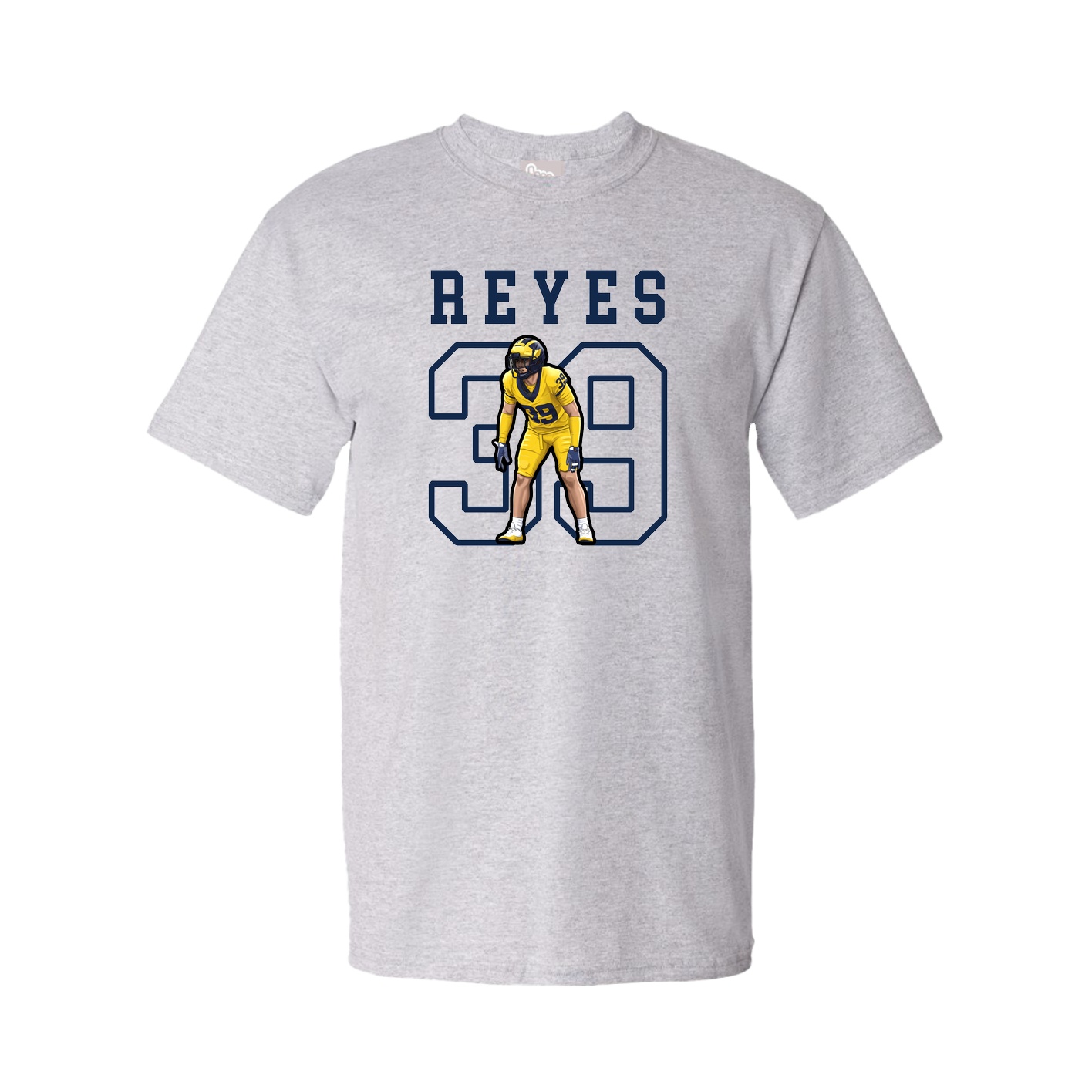 Tee — Shirsey in Grey