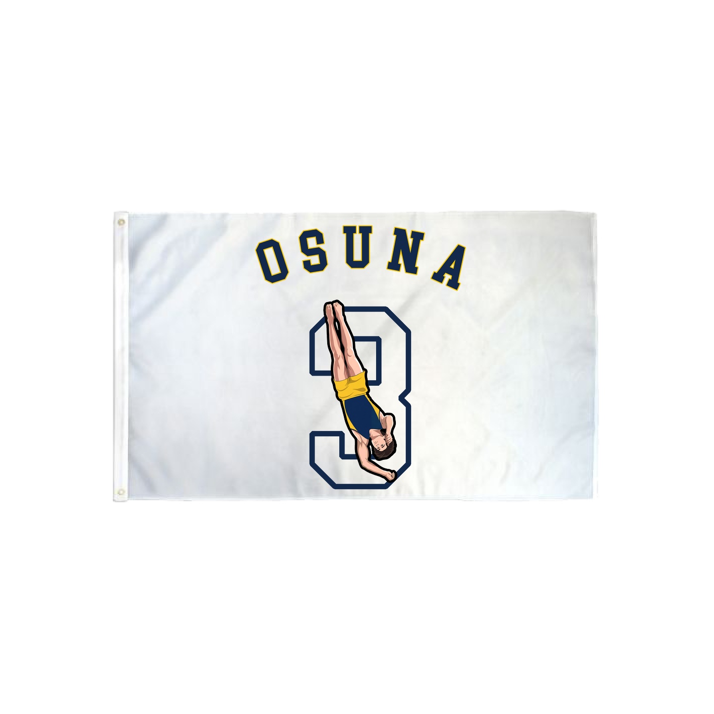 3x5 Flag — Shirsey Arch in Classic