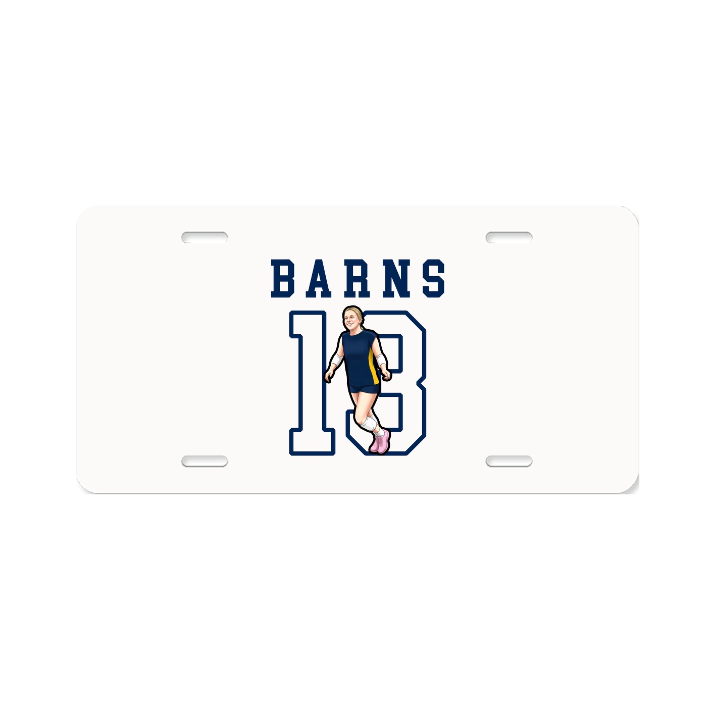 Aluminum License Plate