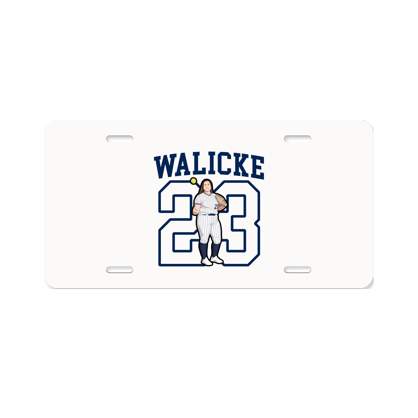 Aluminum License Plate