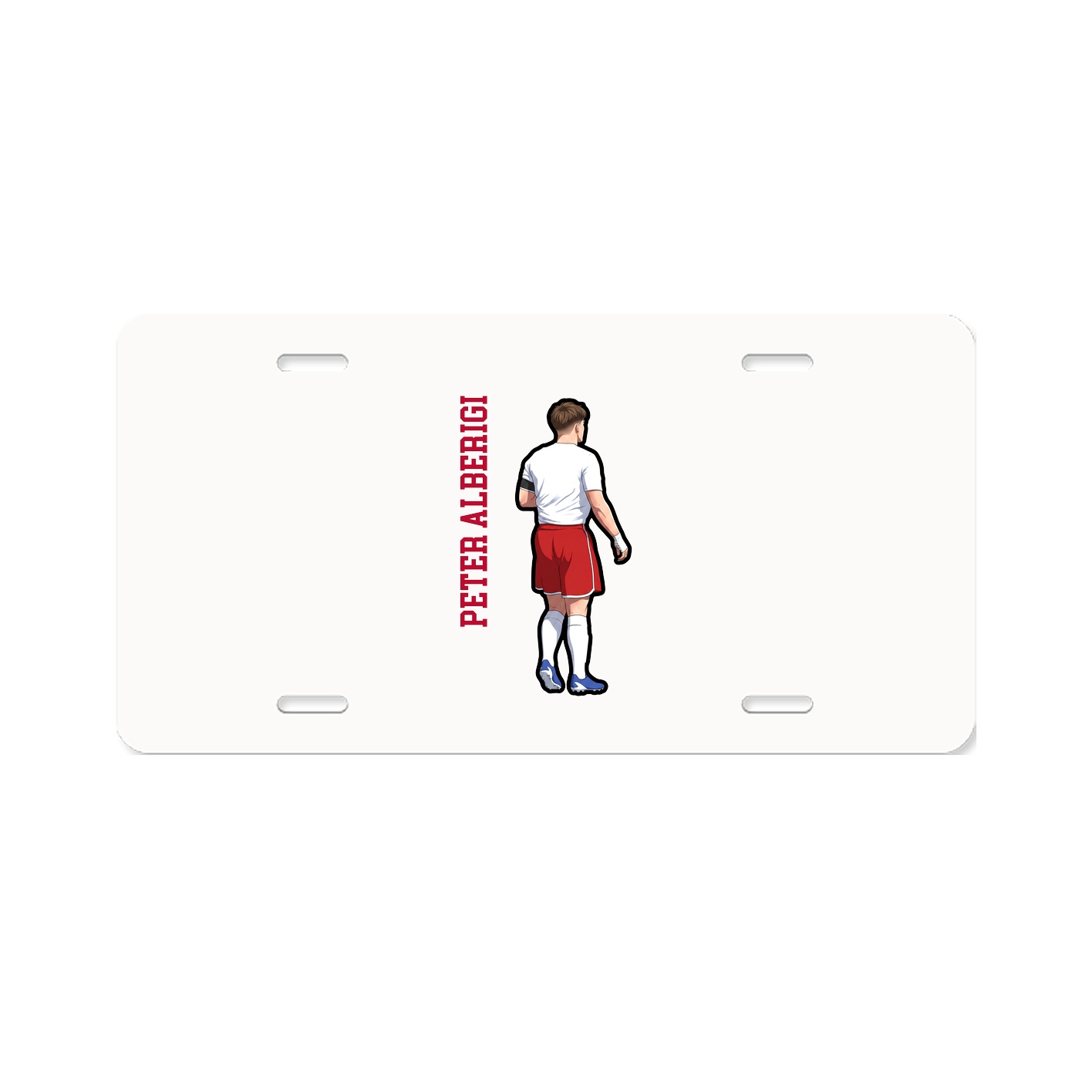 Aluminum License Plate