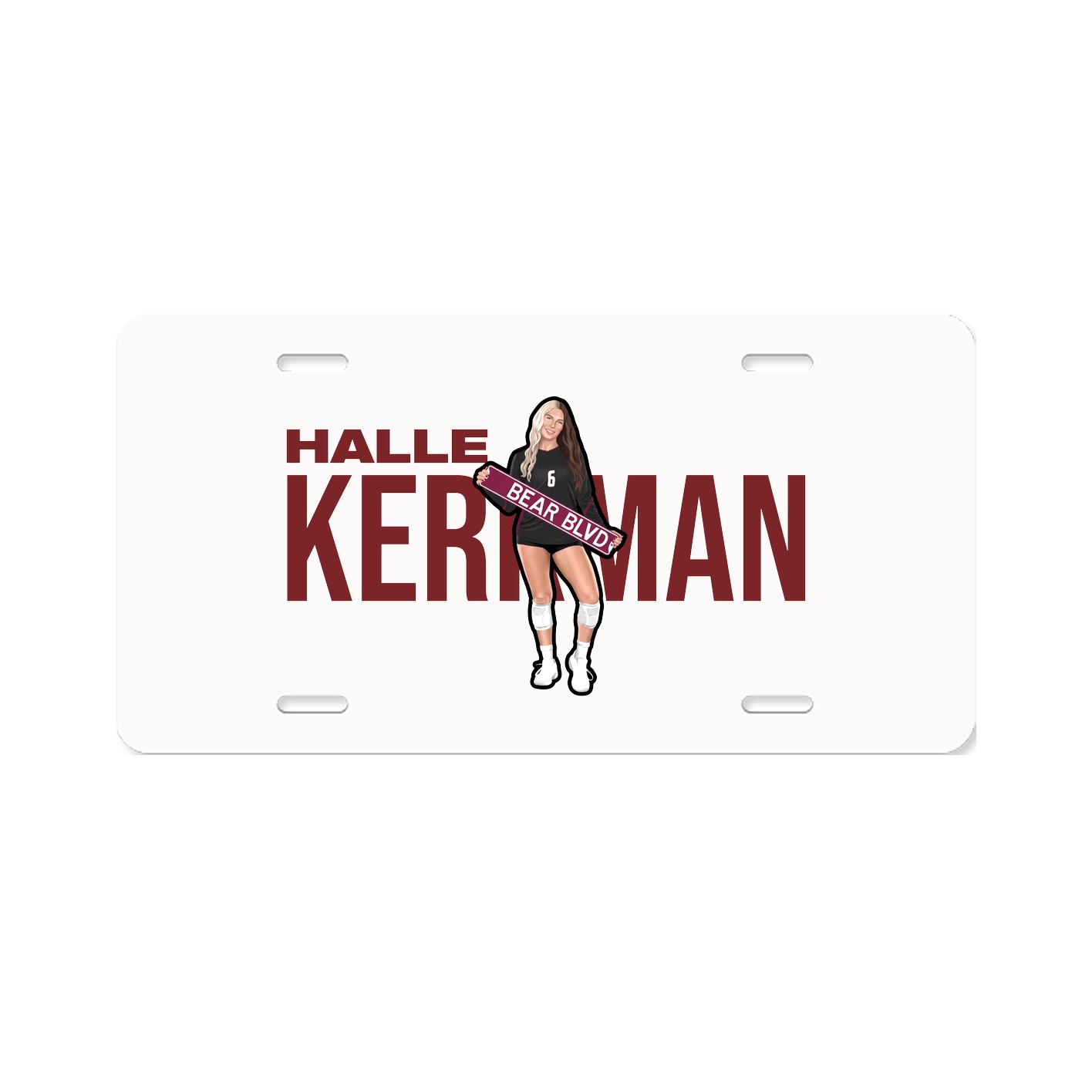 License Plate