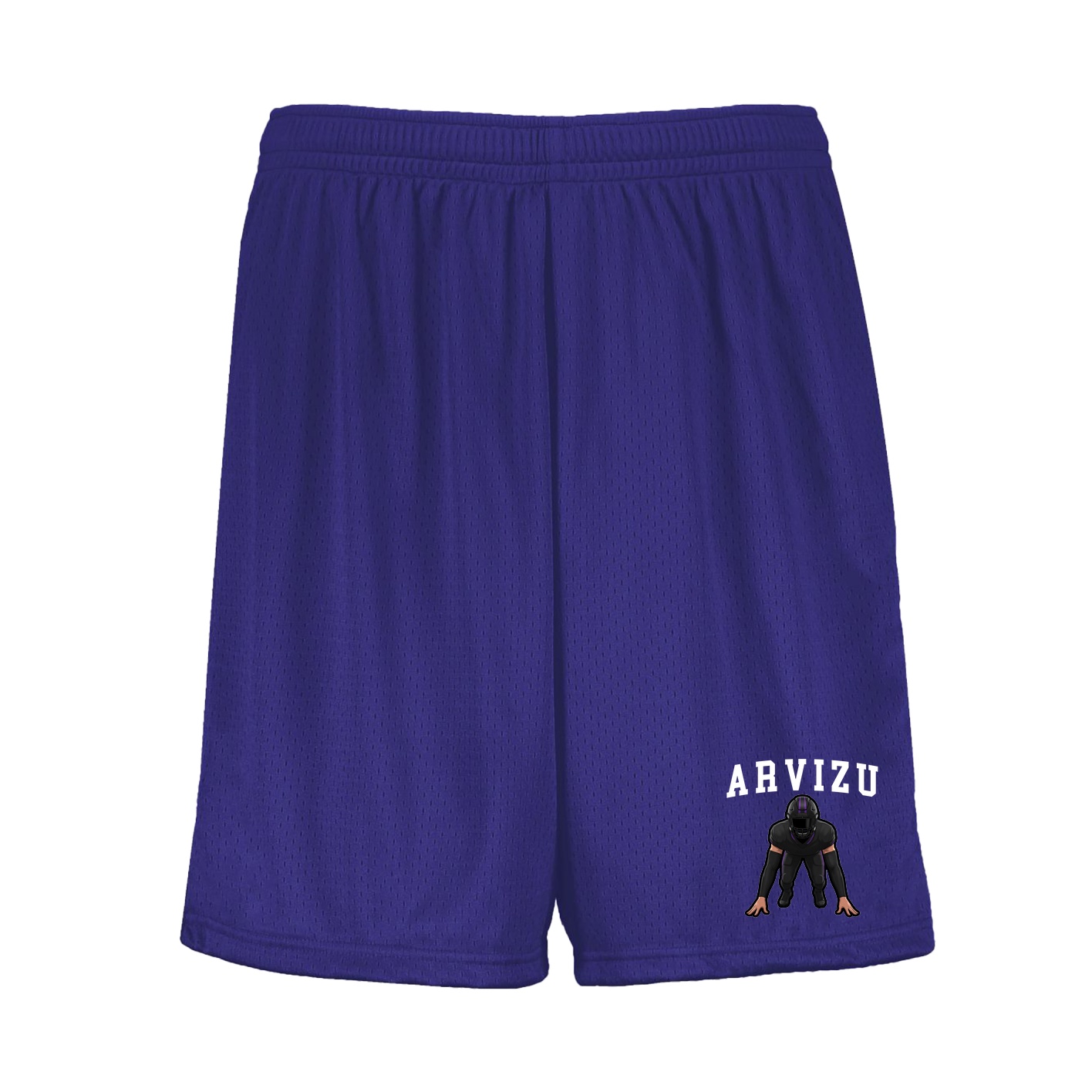 Shorts — Shirsey in Purple