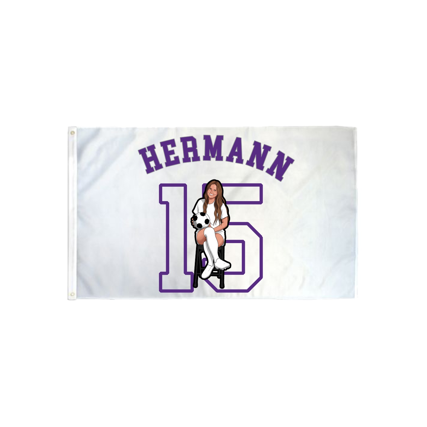 3x5 Flag — Shirsey Arch in Classic