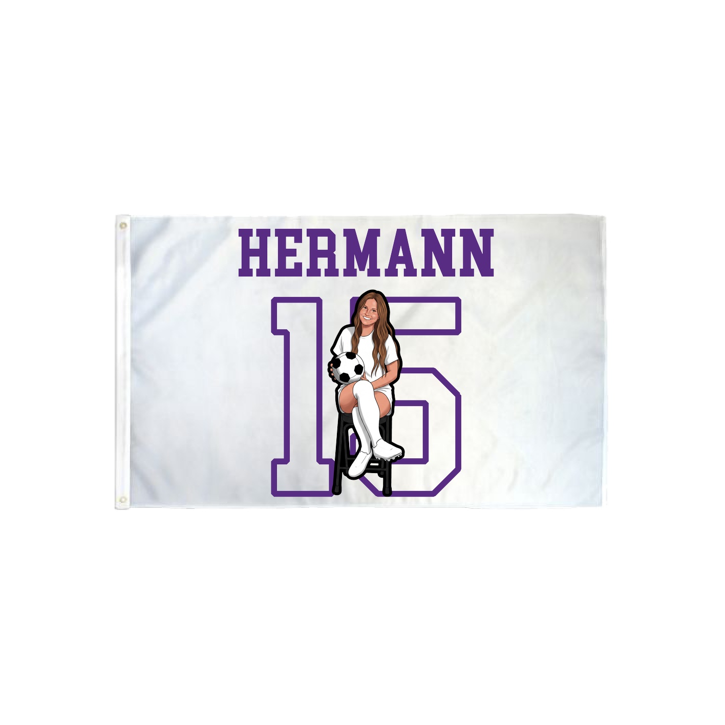 3x5 Flag — Shirsey in Classic