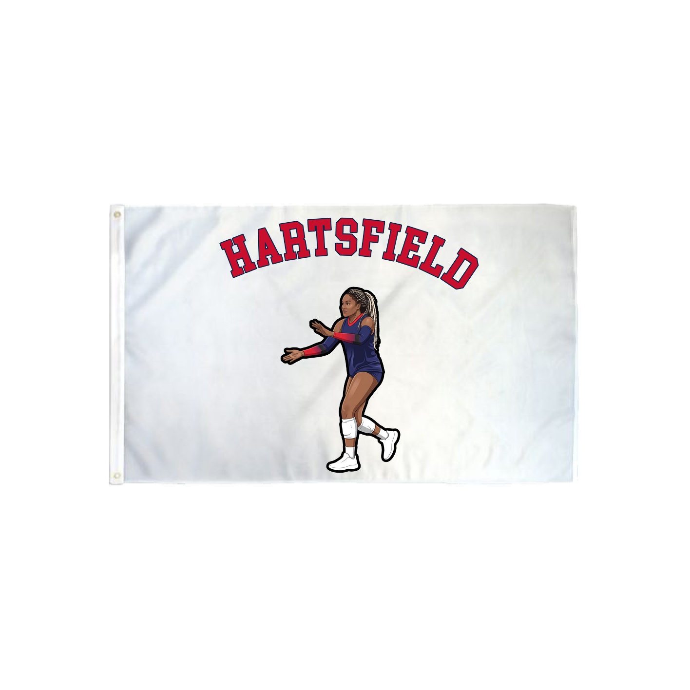 3x5 Flag — Shirsey Arch in Classic