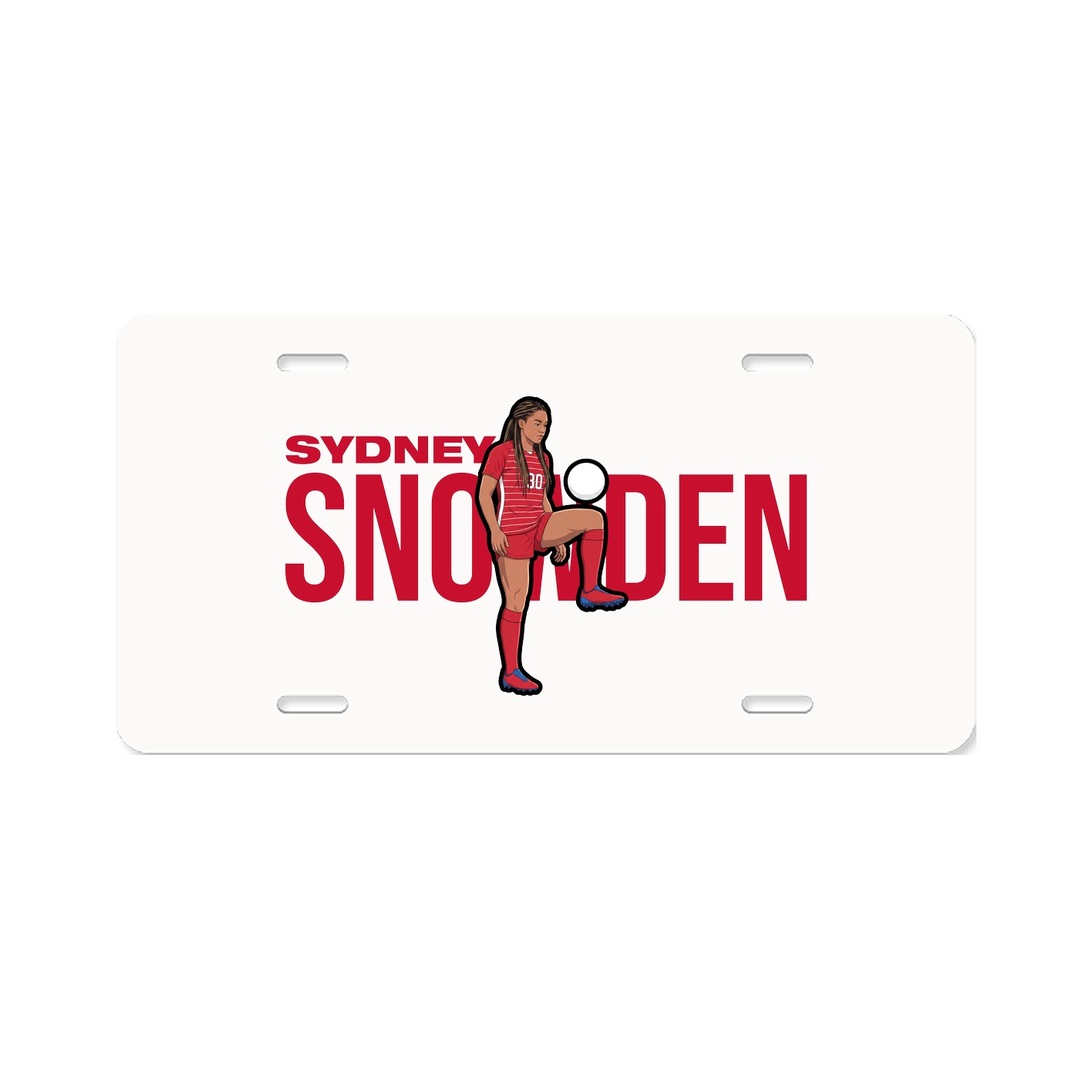 License Plate