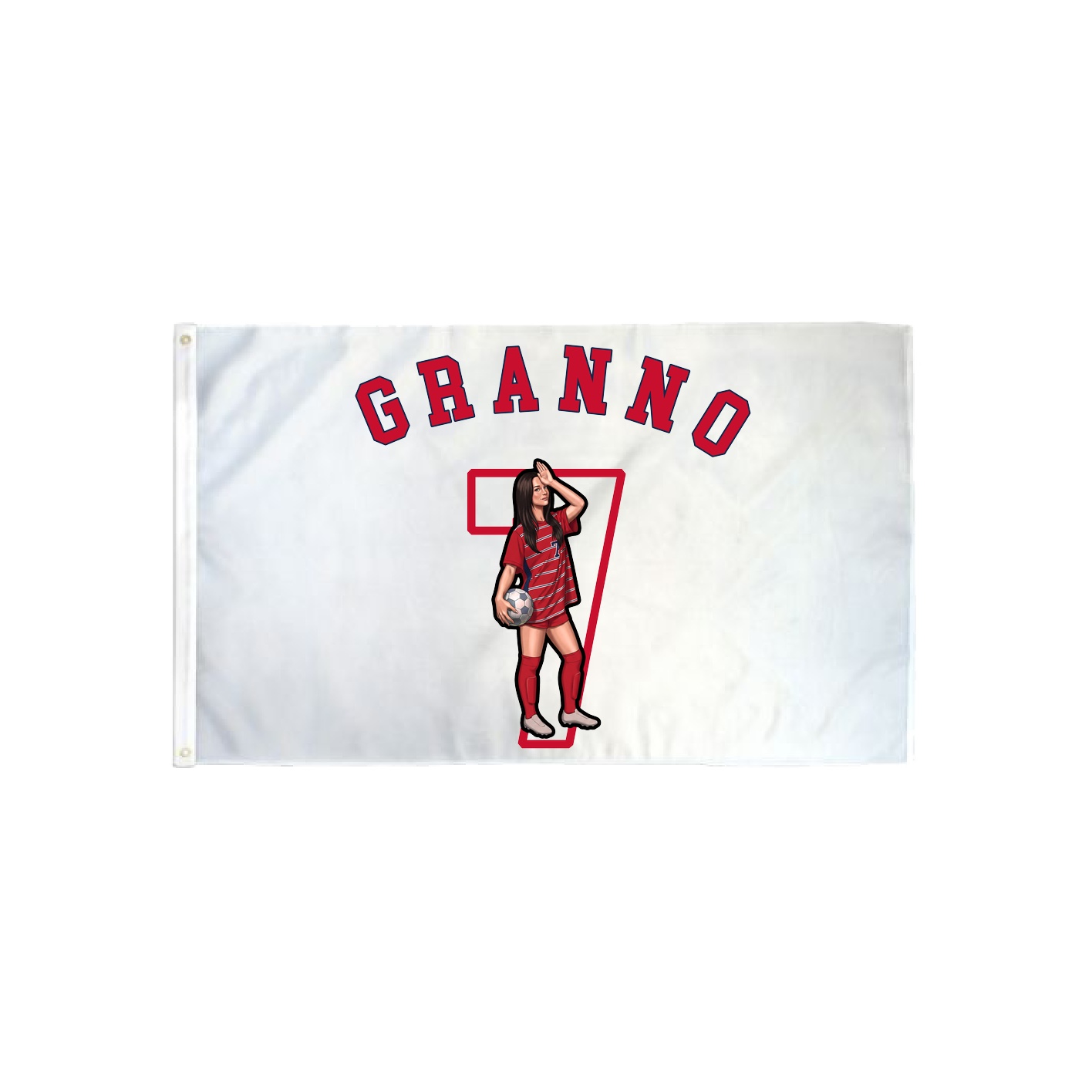 3x5 Flag — Shirsey Arch in Classic