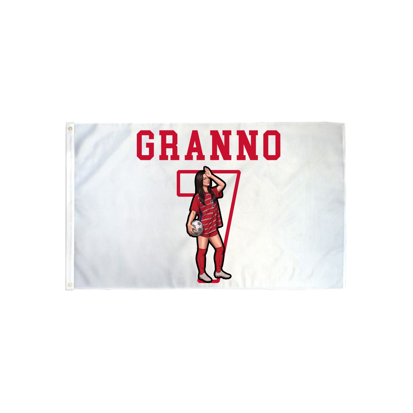 3x5 Flag — Shirsey in Classic