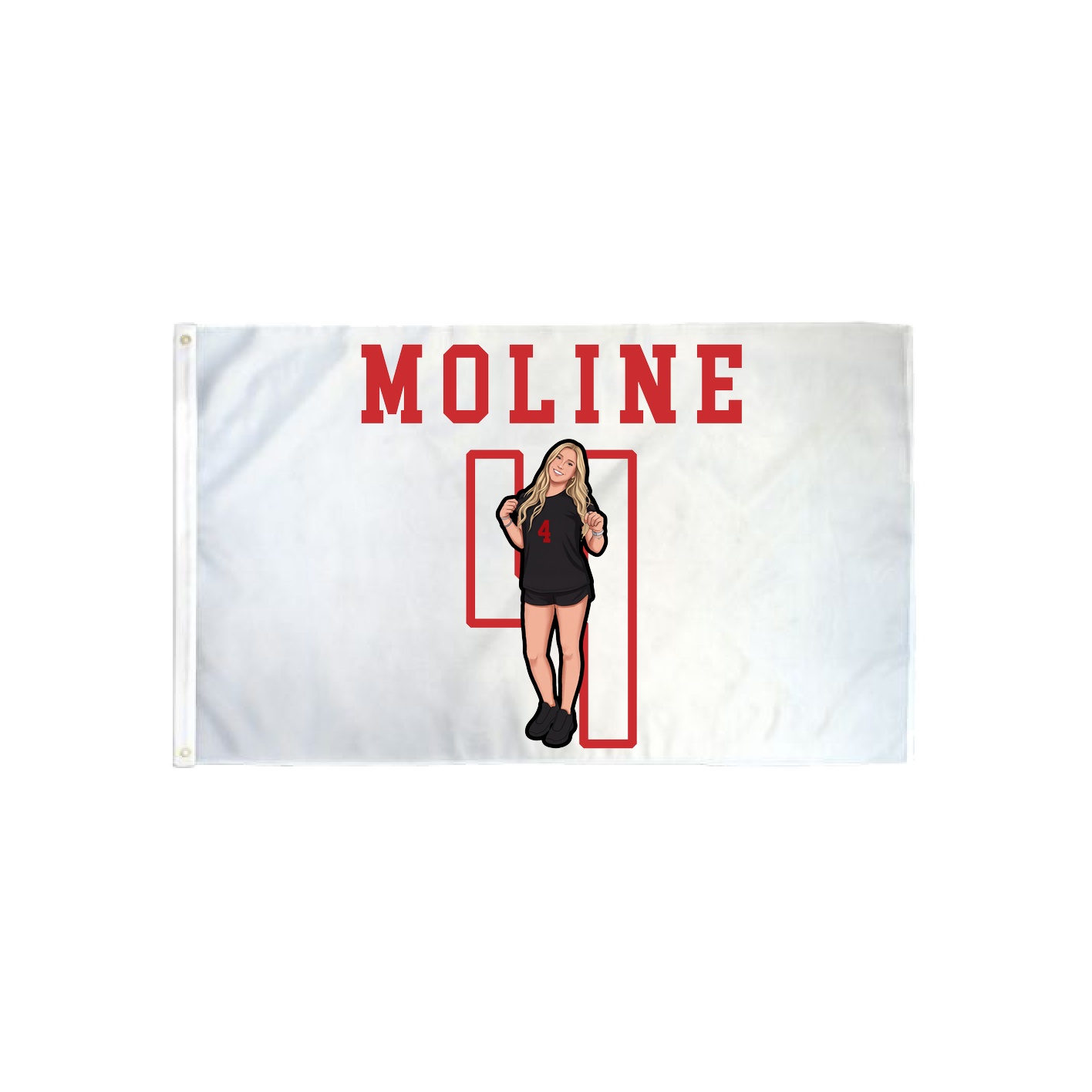 3x5 Flag — Shirsey in Classic