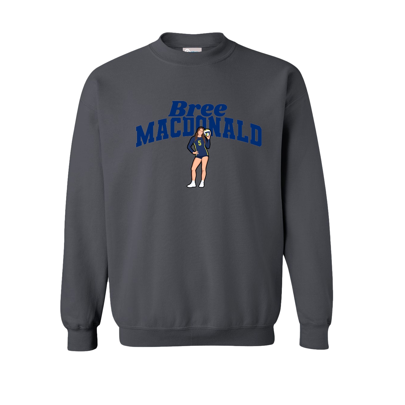 Fleece Crew — Signature Arch in Grey
