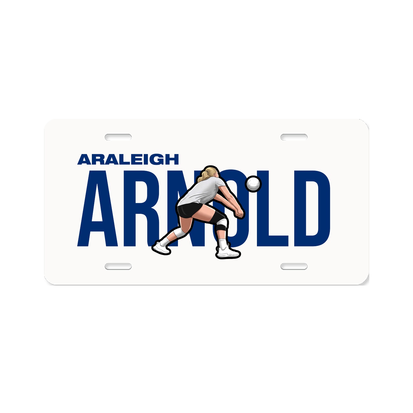 License Plate