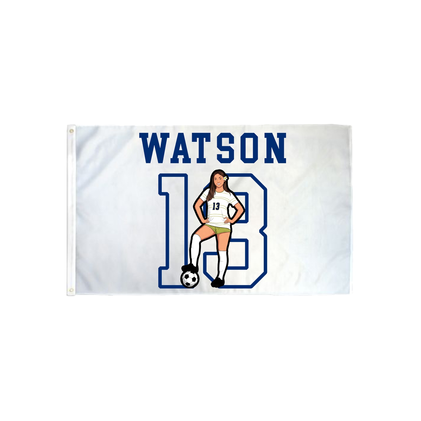 3x5 Flag — Shirsey in Classic