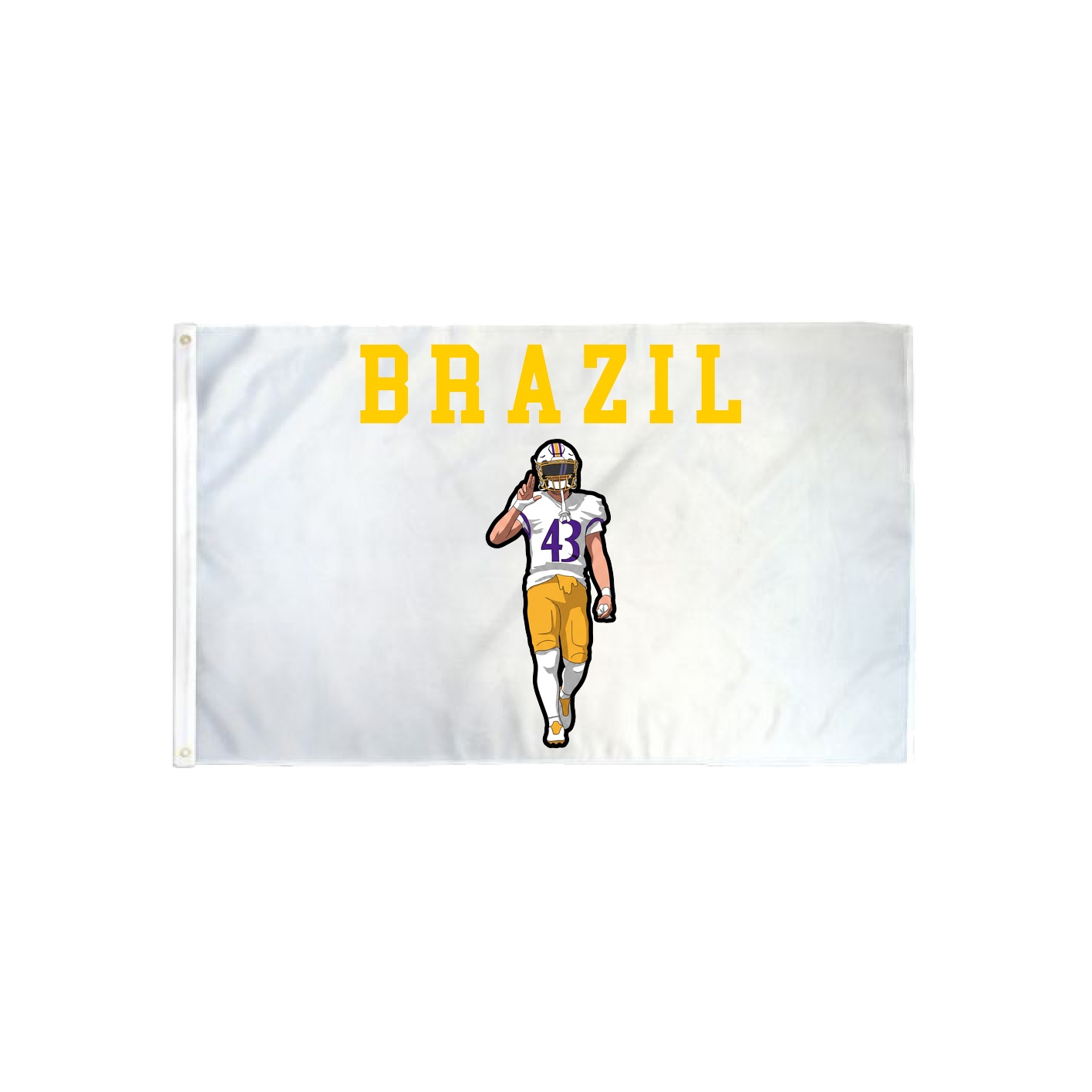 3x5 Flag — Shirsey in Classic