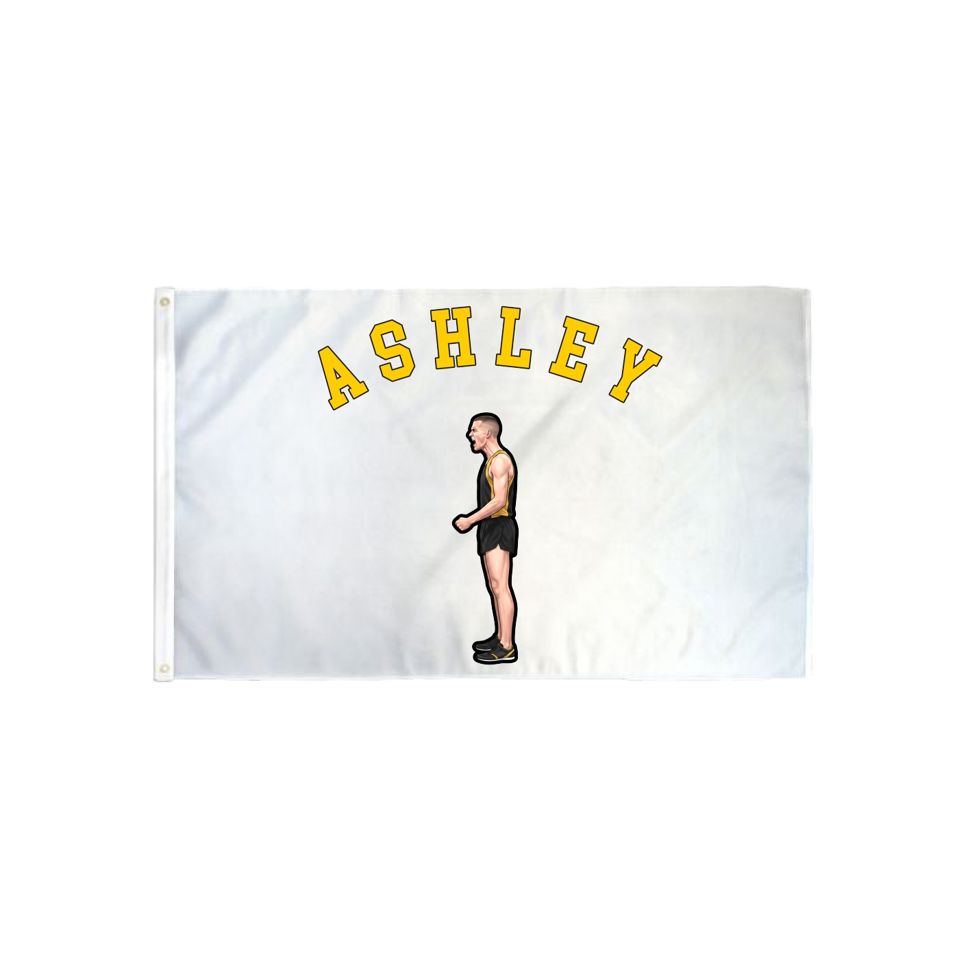 3x5 Flag — Shirsey Arch in Classic