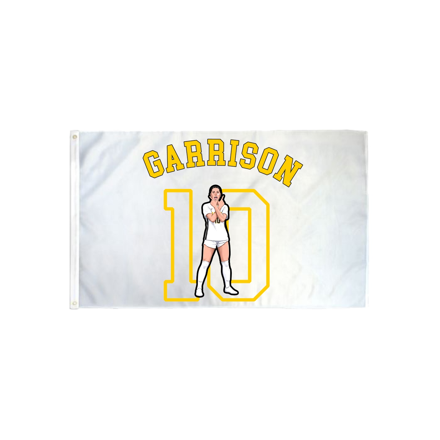 3x5 Flag — Shirsey Arch in Classic