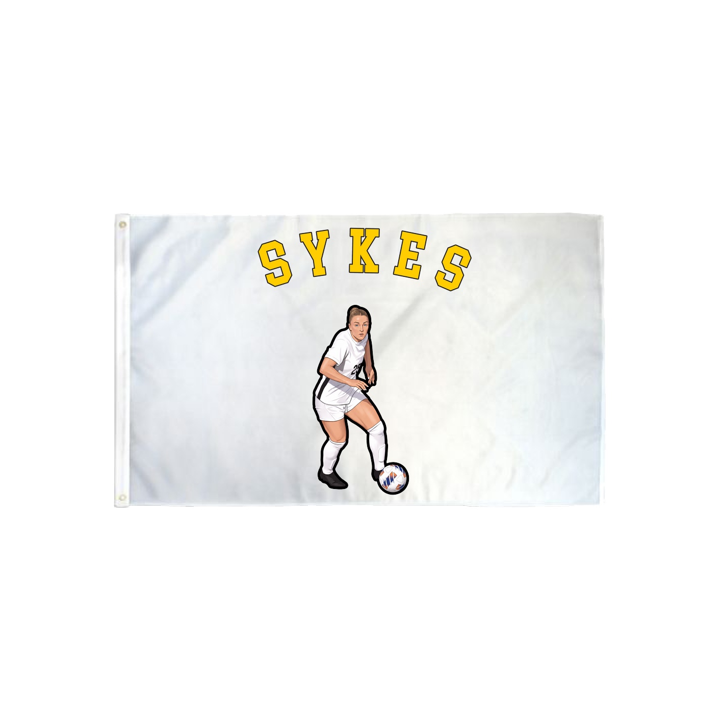 3x5 Flag — Shirsey Arch in Classic