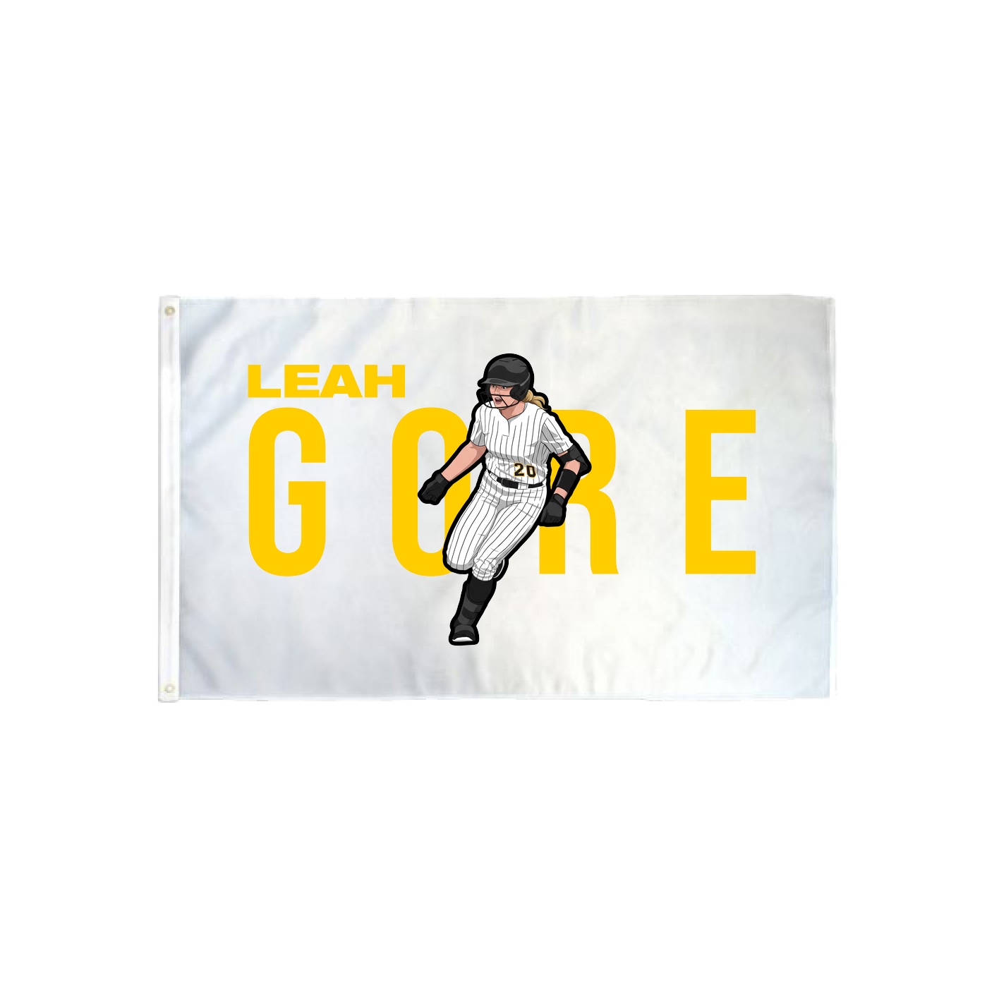 3x5 Flag