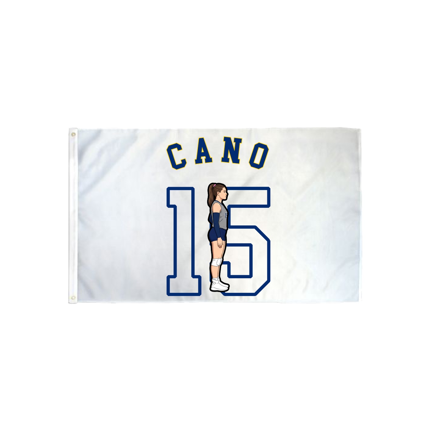 3x5 Flag — Shirsey Arch in Classic
