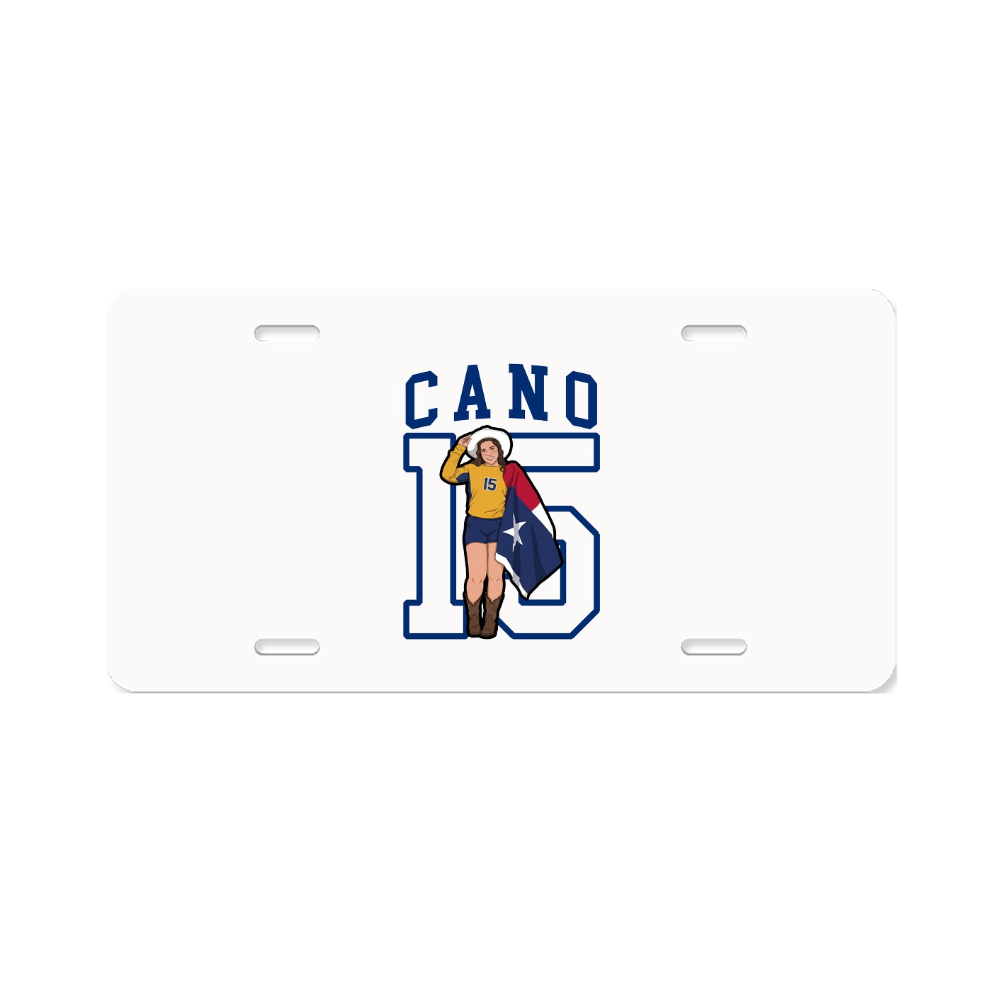 Aluminum License Plate