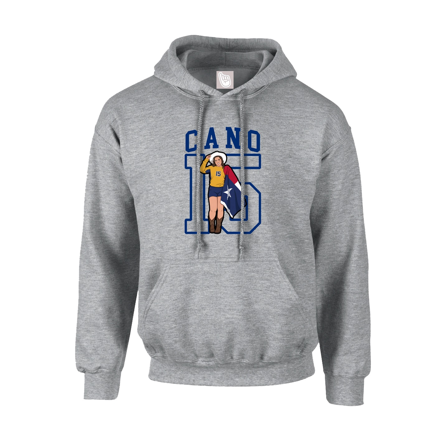 Hoodie — Shirsey in Grey