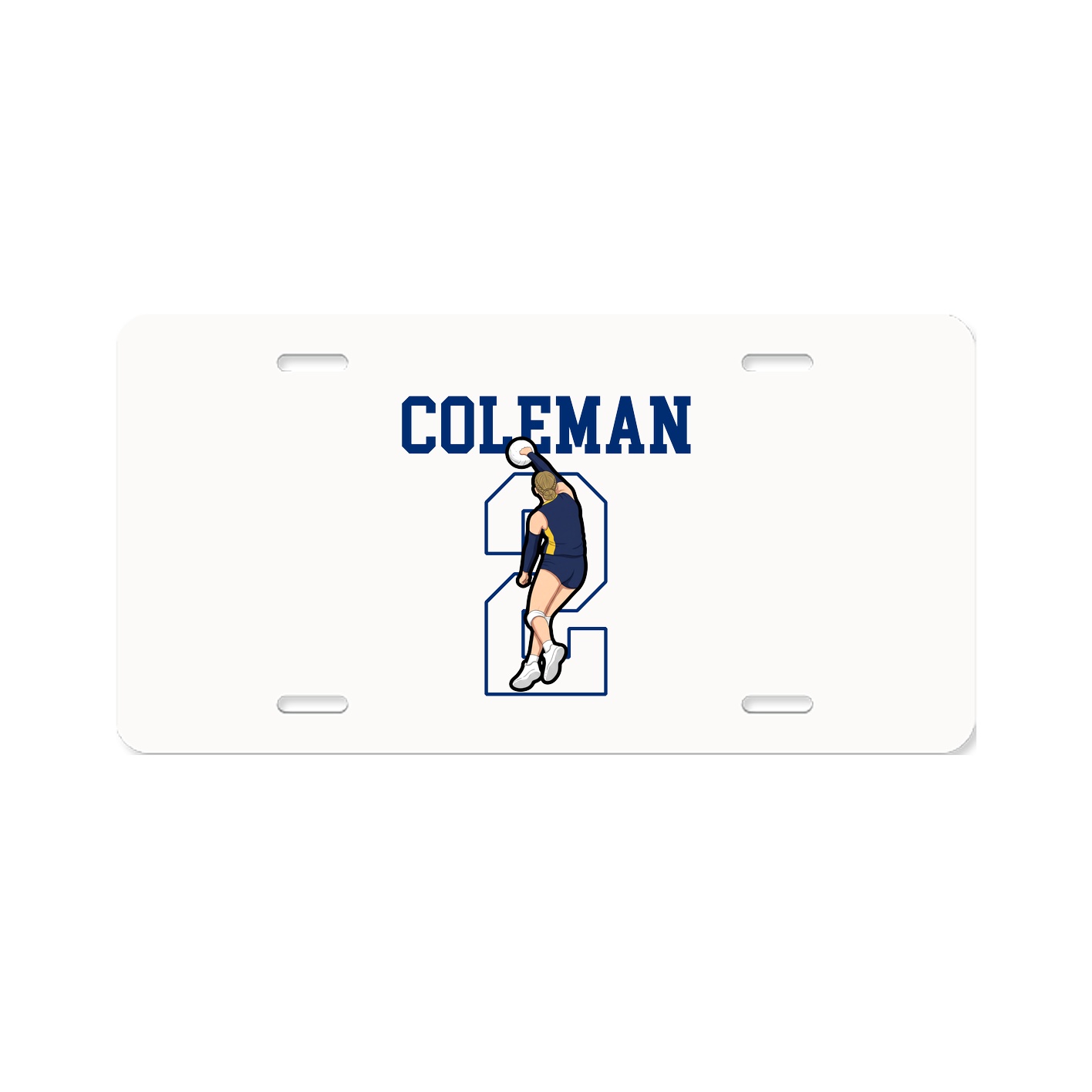 License Plate