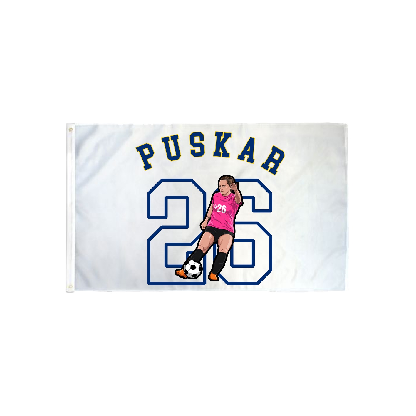3x5 Flag — Shirsey Arch in Classic