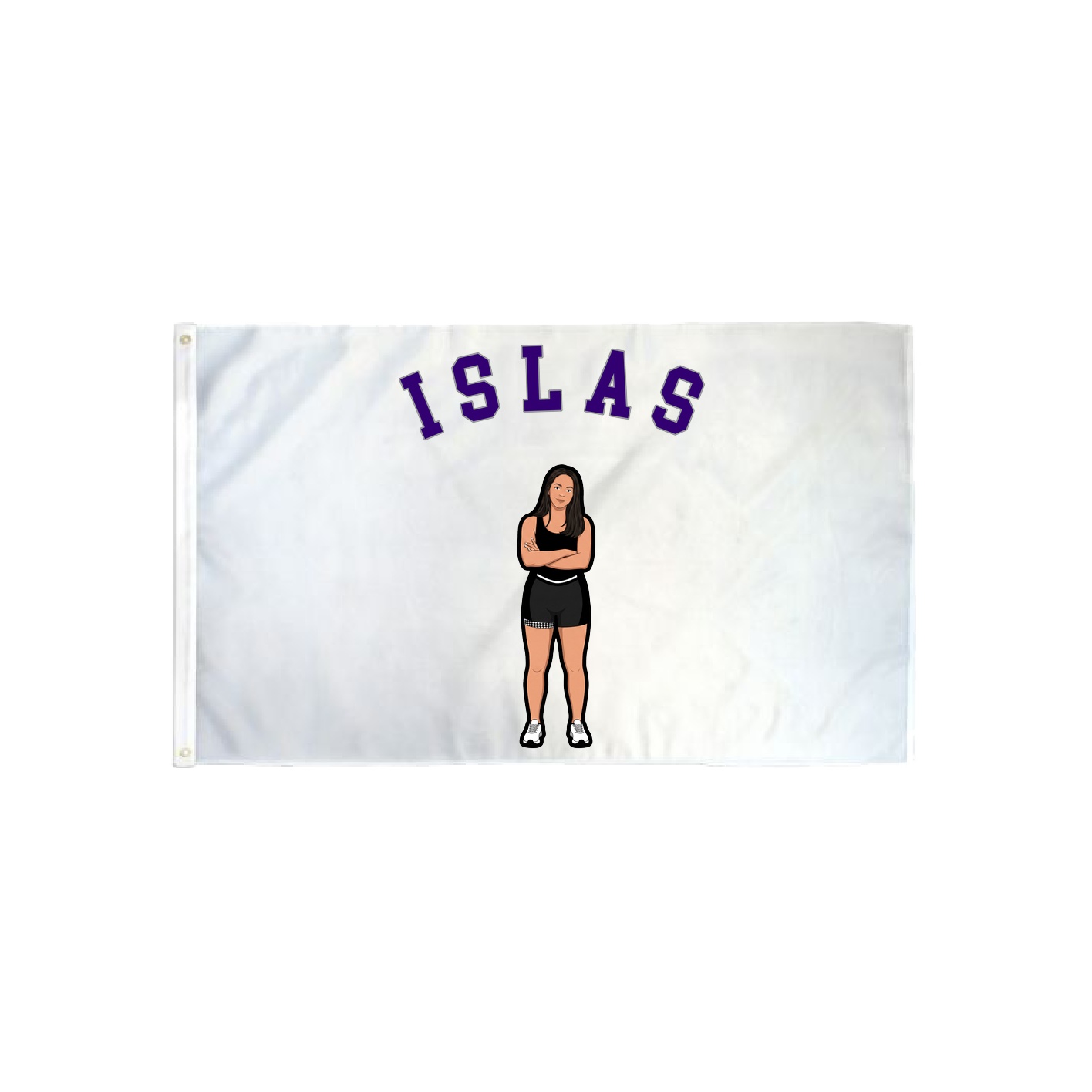 3x5 Flag — Shirsey Arch in Classic