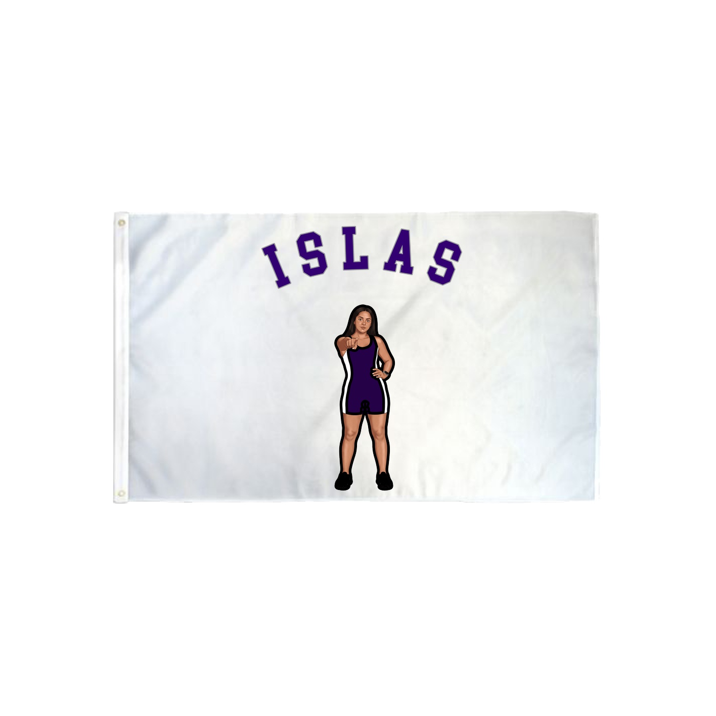 3x5 Flag — Shirsey Arch in Classic