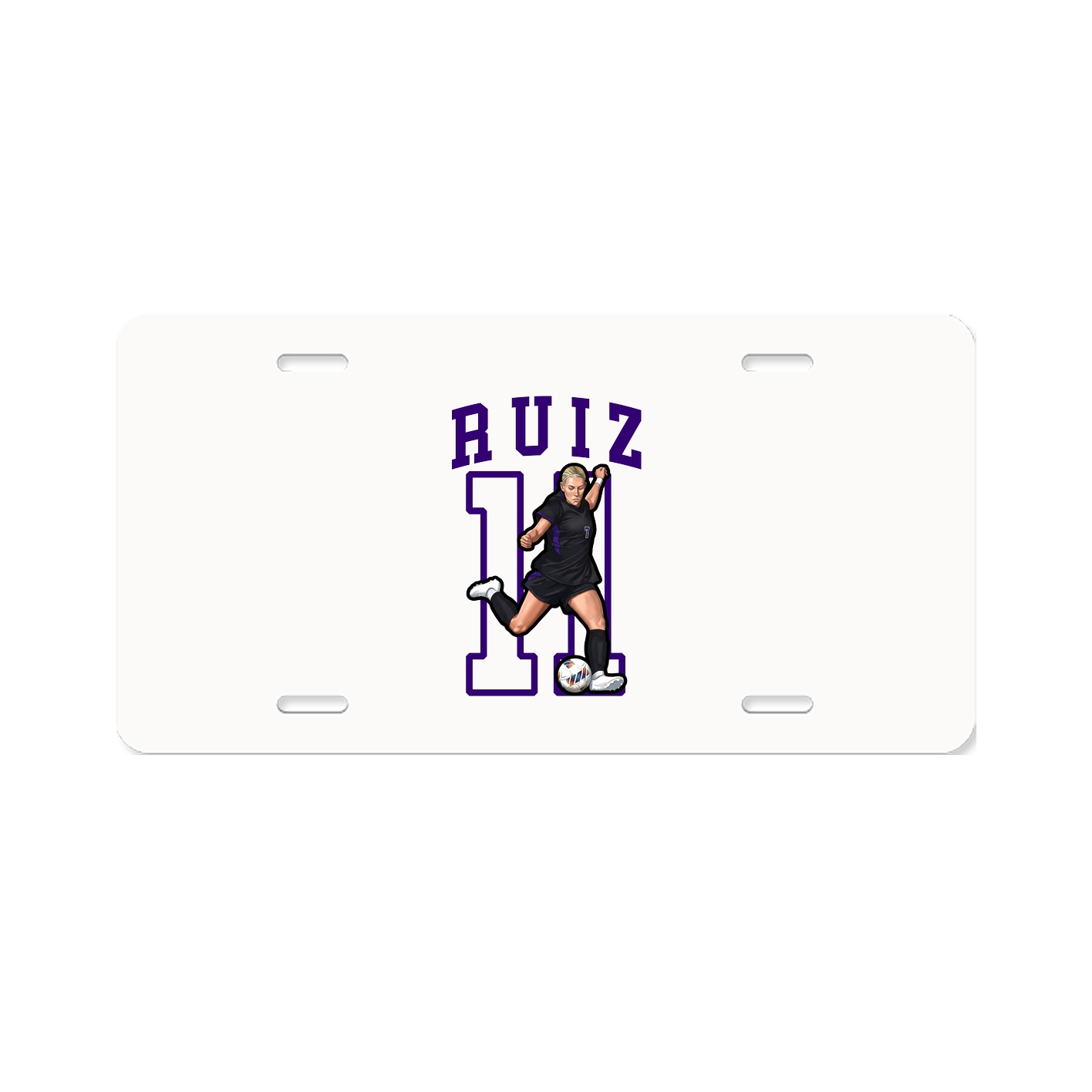 Aluminum License Plate