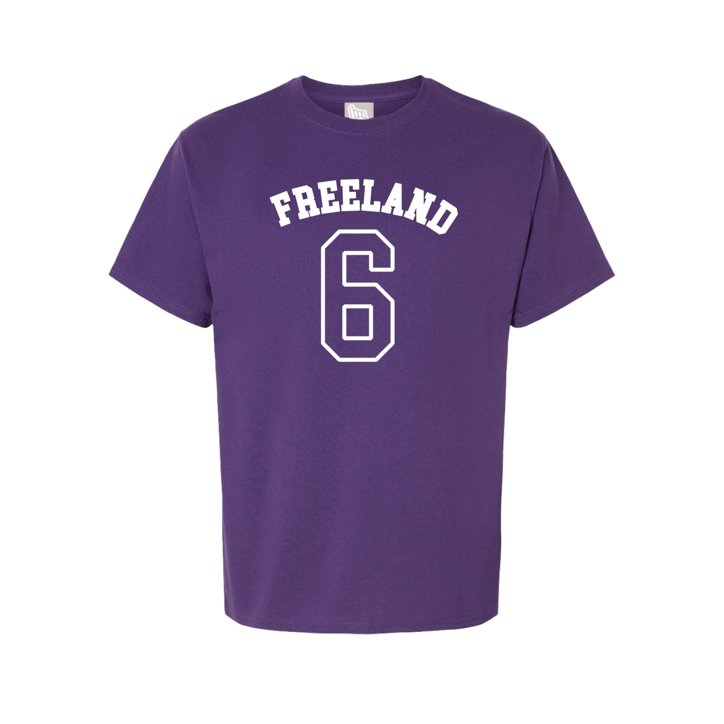 Youth Tee — Shirsey Arch in Purple