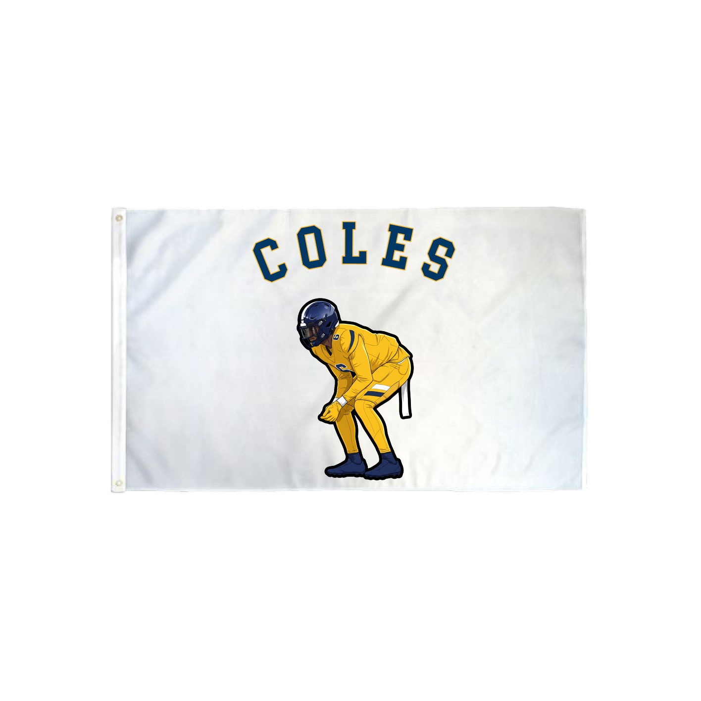 3x5 Flag — Shirsey Arch in Classic