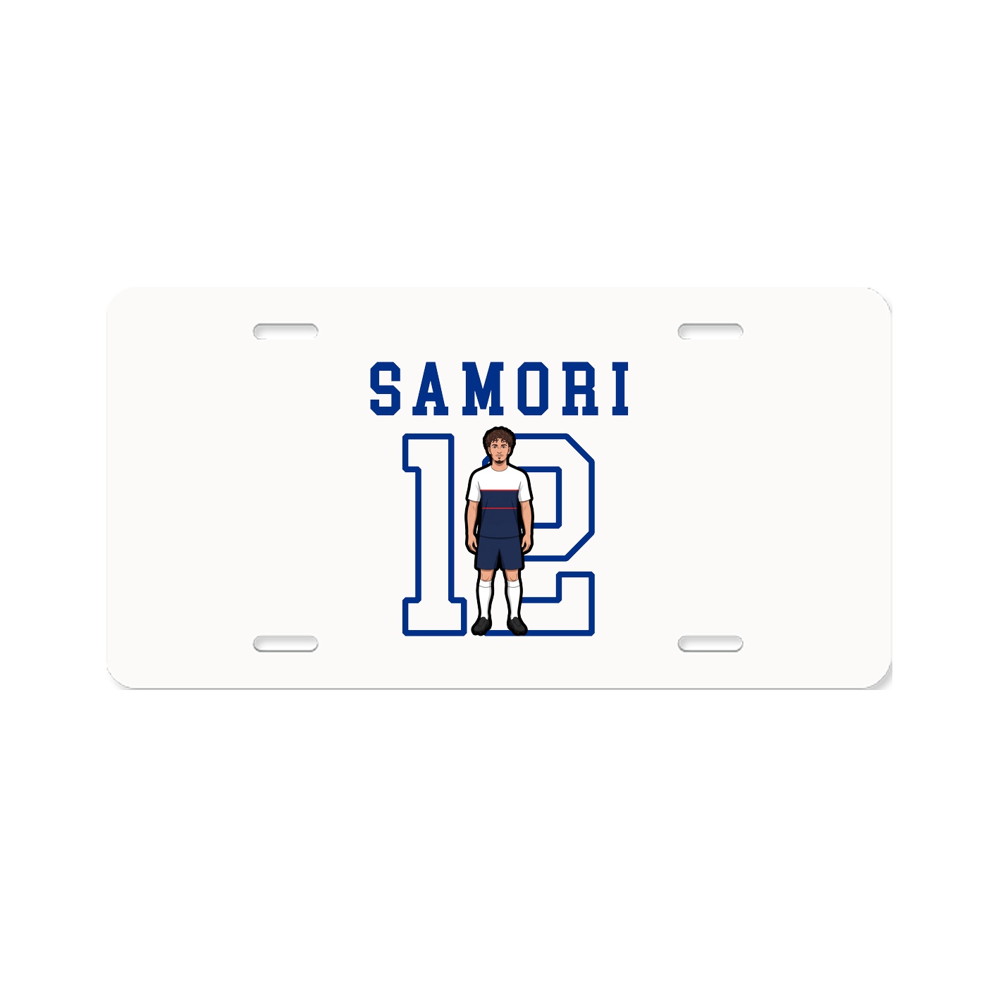 License Plate