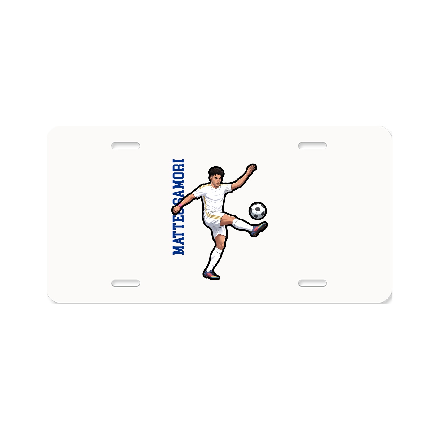 Aluminum License Plate