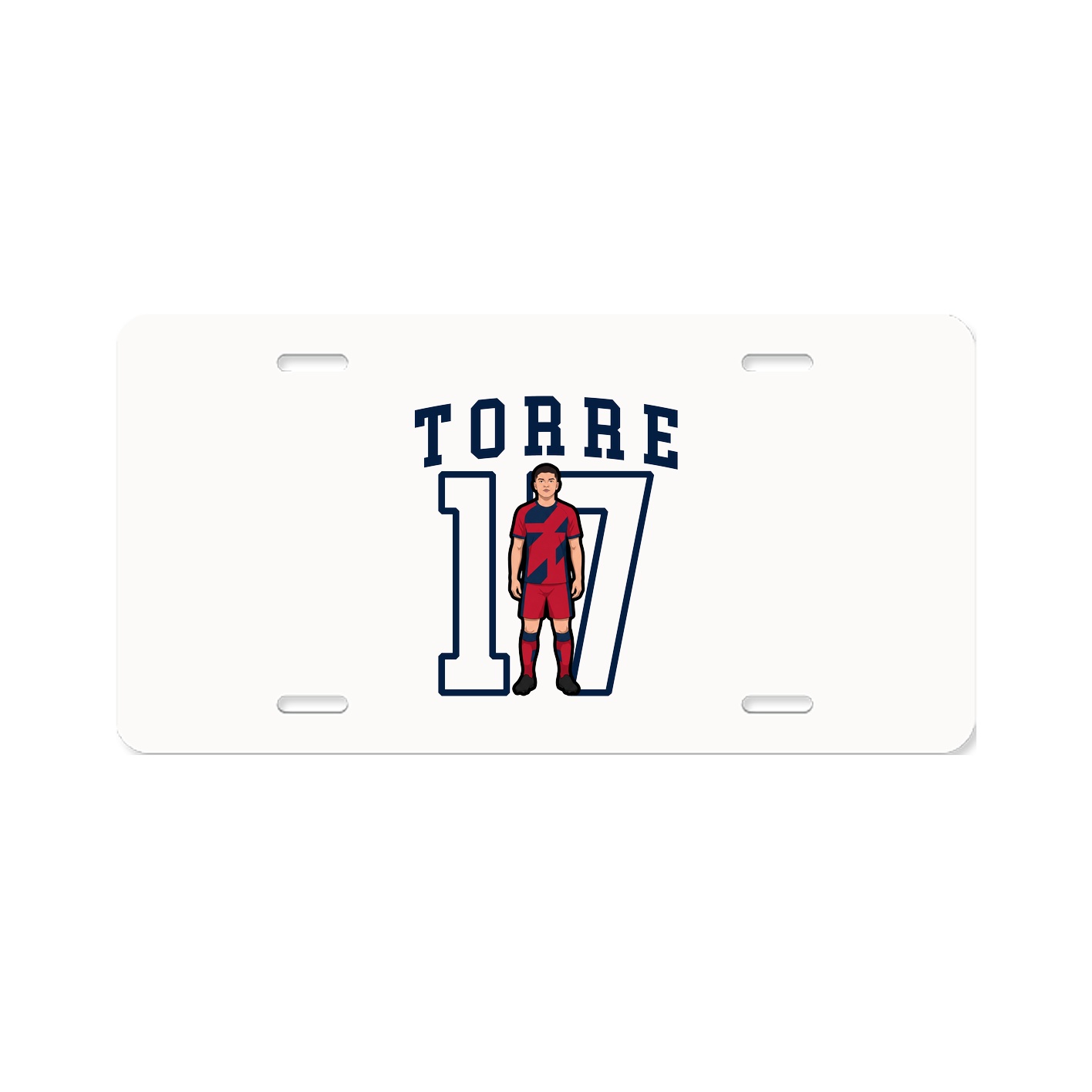 Aluminum License Plate